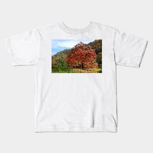 The old persimmon Kids T-Shirt